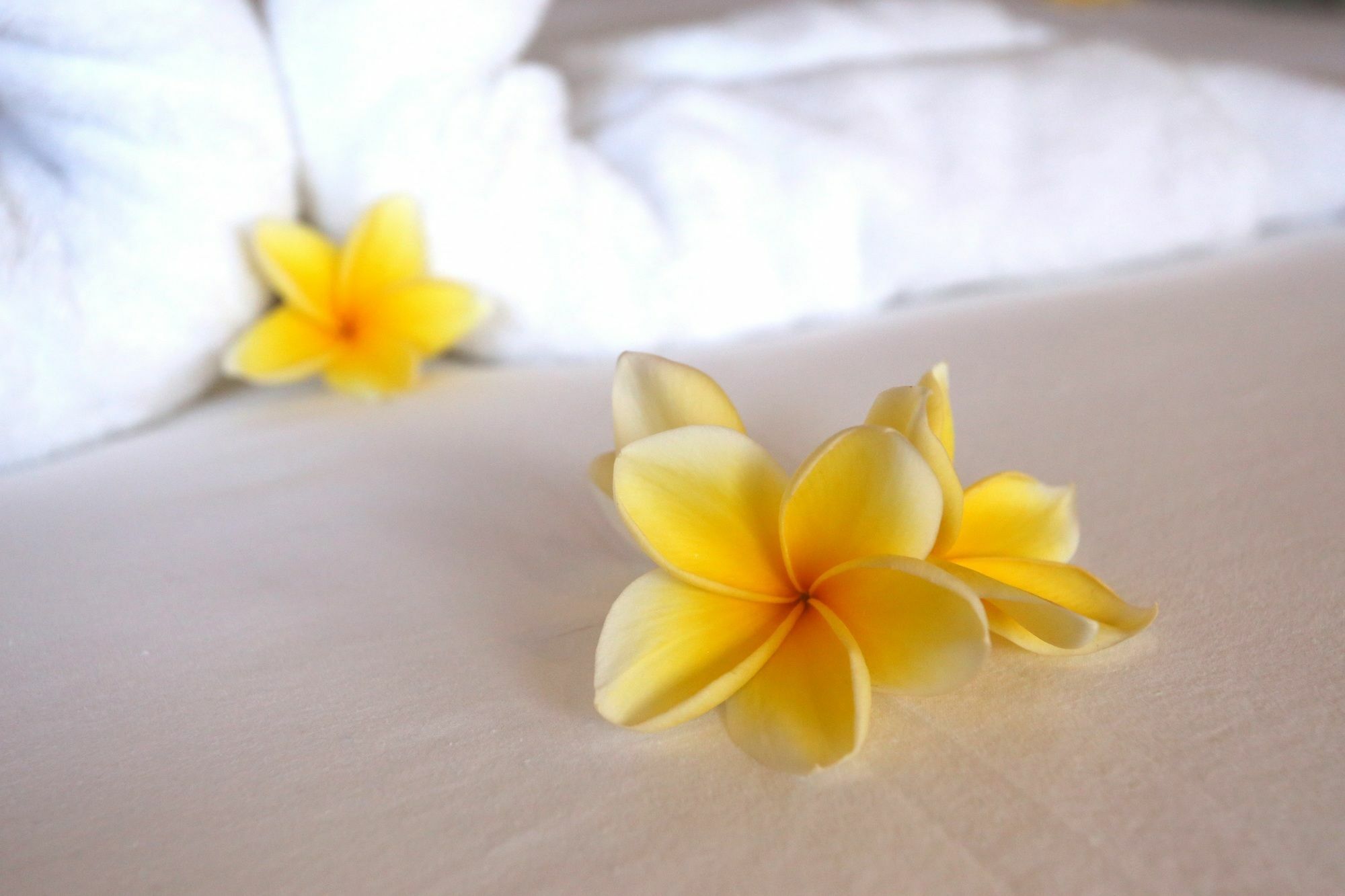 Urbanest 3* Seminyak (Bali)